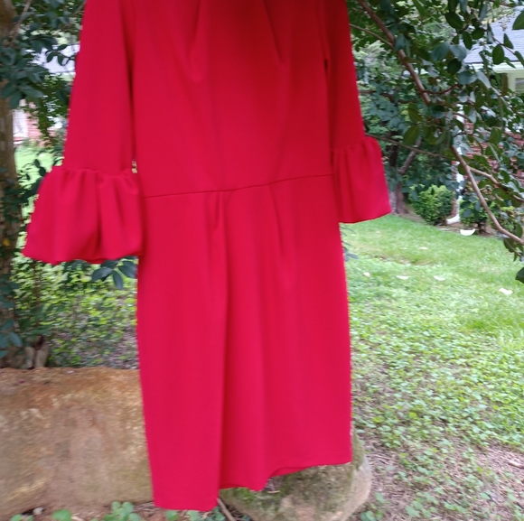 Besty Adam 8 - Picture 1 of 4